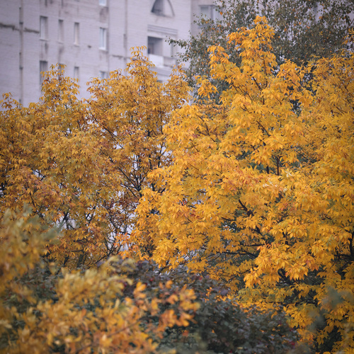 Фотография #14118866