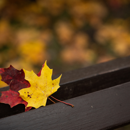 Photo #14118874