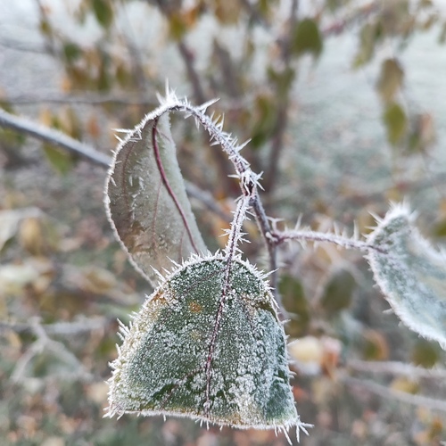 Photo #14118879