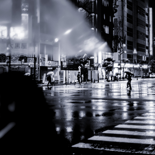 Photo #14118920