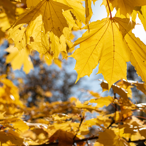 Photo #14118984