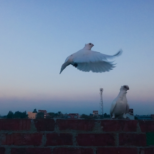 Photo #14119233