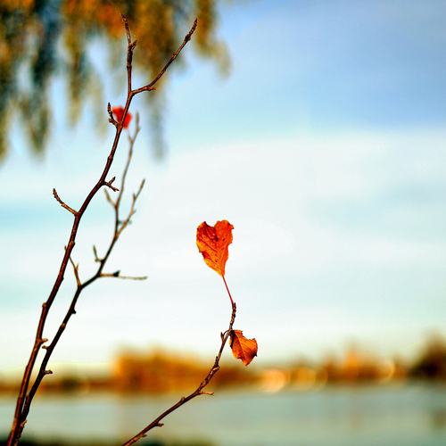 Photo #14119311