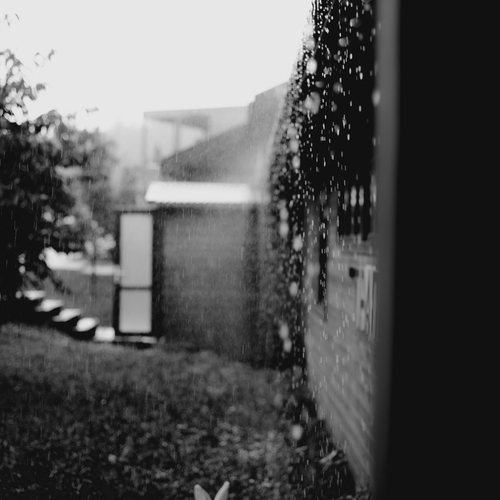 Photo #14119336