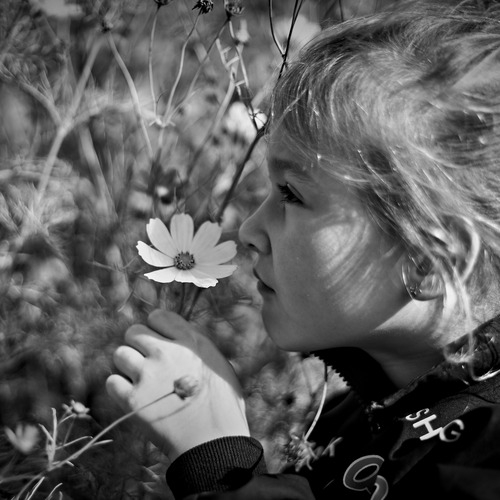 Photo #14119448