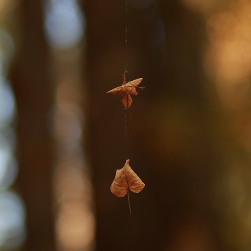Photo #14119451