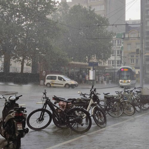 Photo #14119457