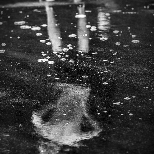 Photo #14119458