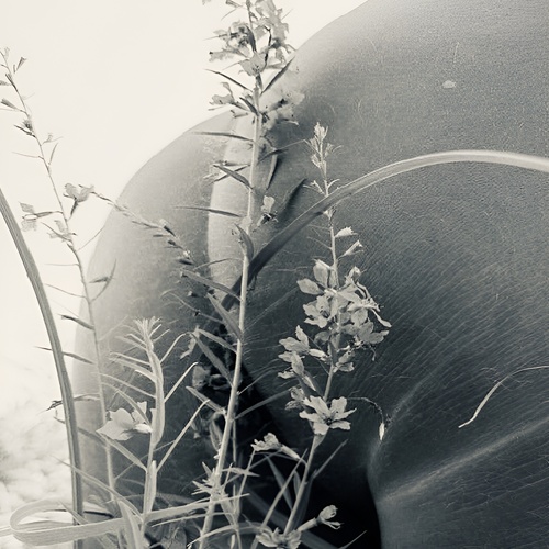 Photo #14119537