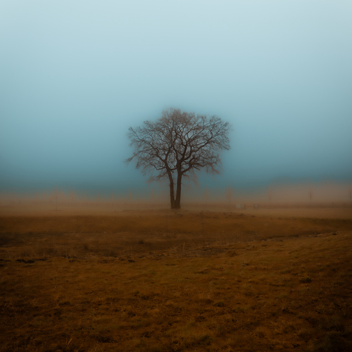 Photo #14119654