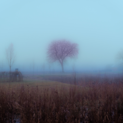 Photo #14119658