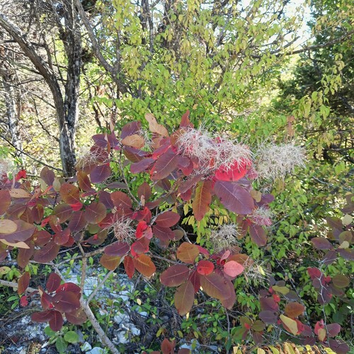 Photo #14119687