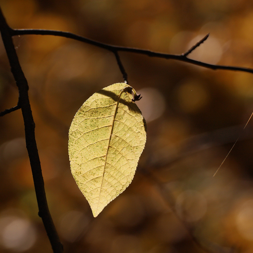 Photo #14119722