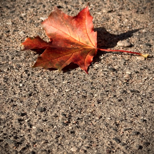 Photo #14119881