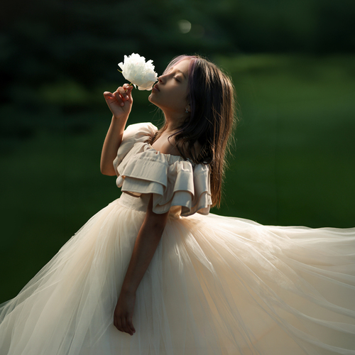 A Whisper of Light