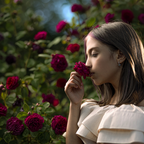 The Scent of Silence