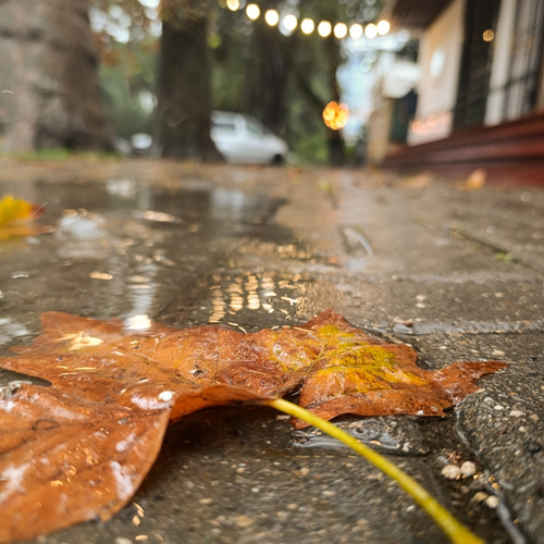 Photo #14120081