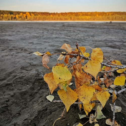 Photo #14120245