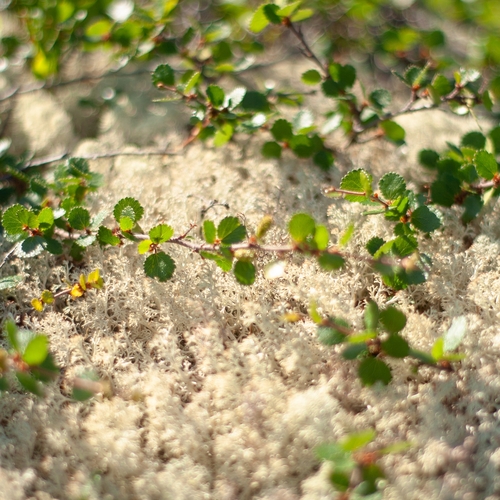 Photo #14120257