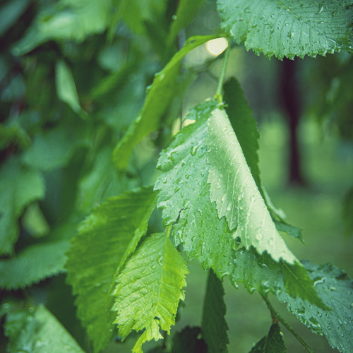 Photo #14120327