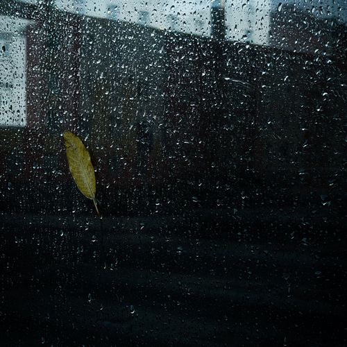 Photo #14120342