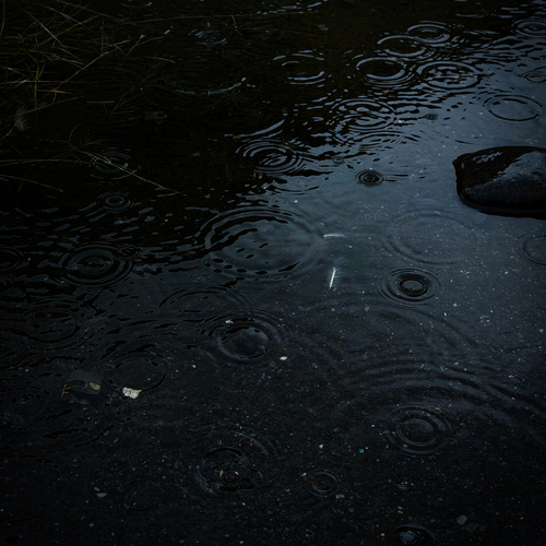 Photo #14120343