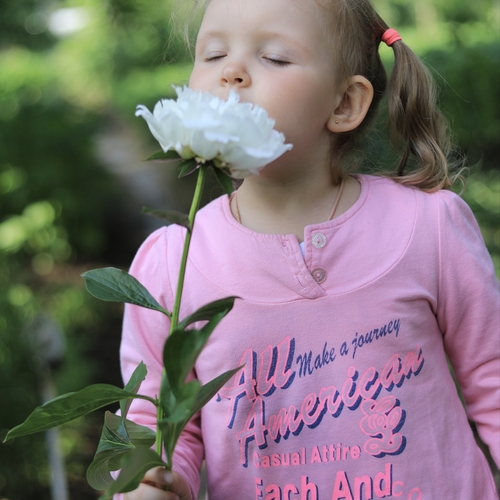 Photo #14120373