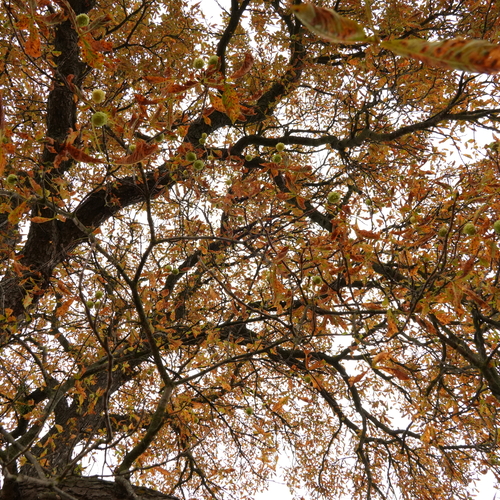 Photo #14120406