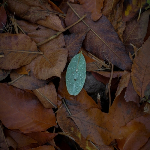 Photo #14120414