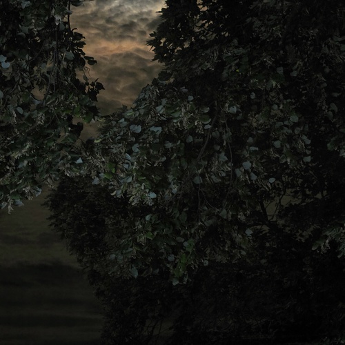 Photo #14120525
