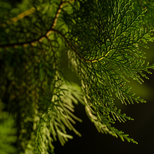 Photo #14120545