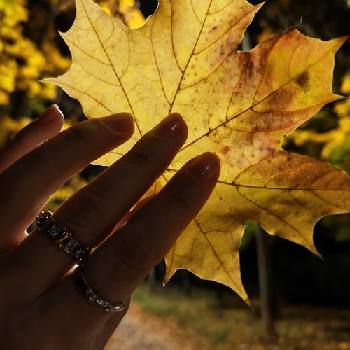 Photo #14120641