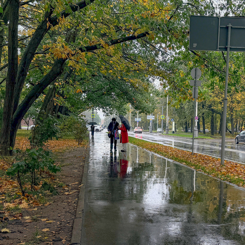 Photo #14120657