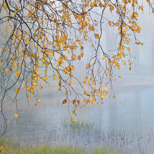 Photo #14120690