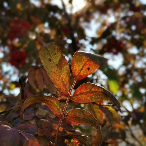 Photo #14120739