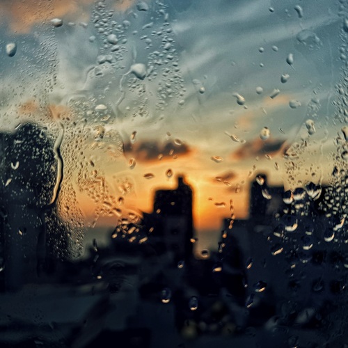 Photo #14120875