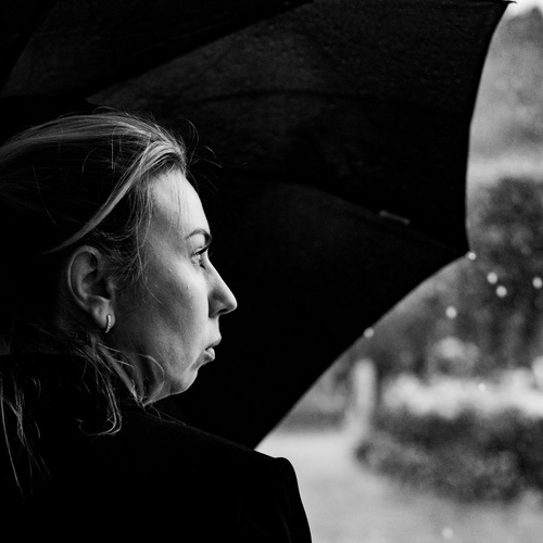 Photo #14120968