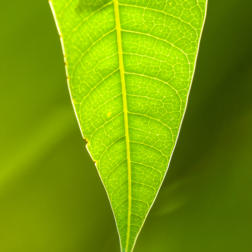 Photo #14121083
