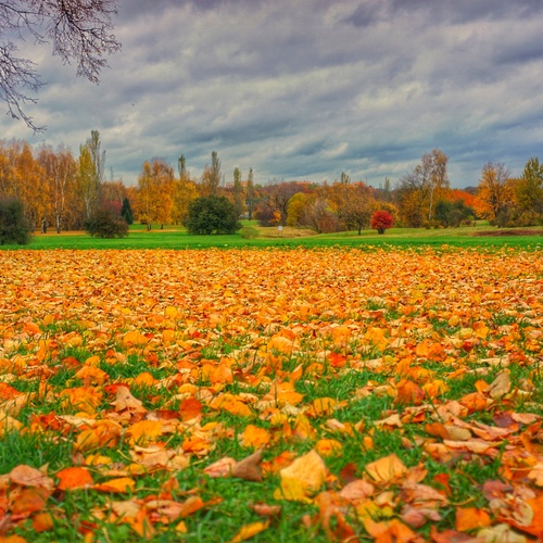 Photo #14121087