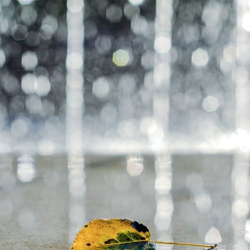 Photo #14121097