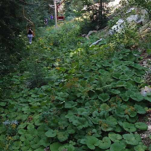 Photo #14121146