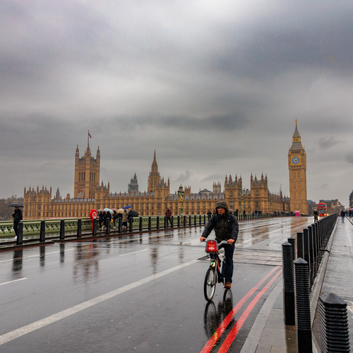 Photo #14121188
