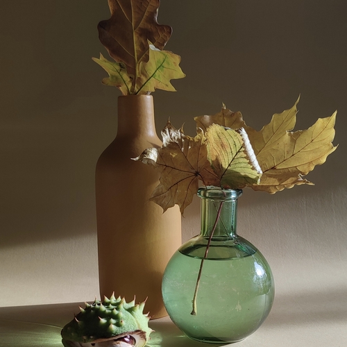 Photo #14121211