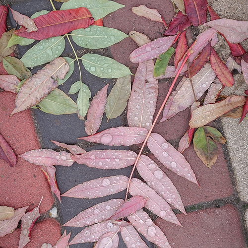 Photo #14121233