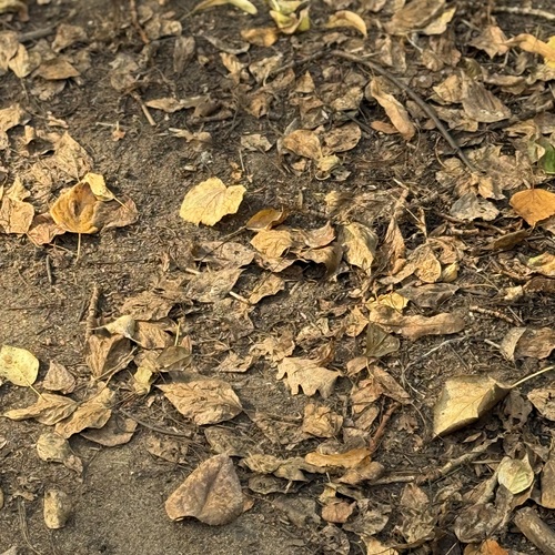 Photo #14121283