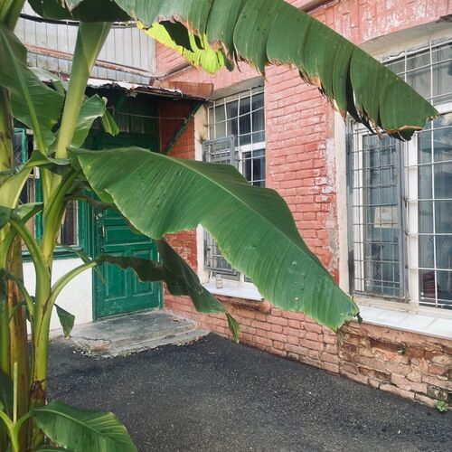 Photo #14121342