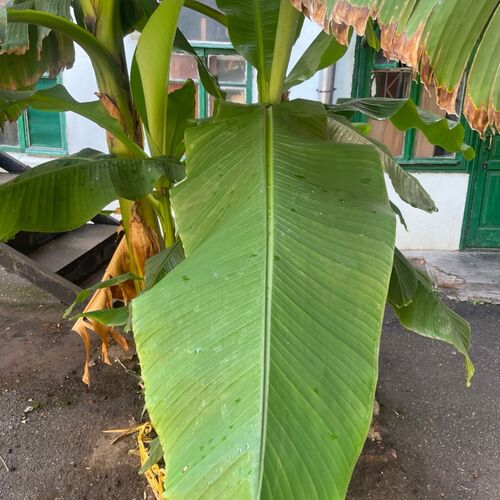 Photo #14121345
