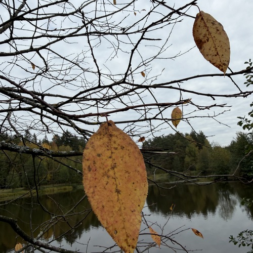 Photo #14121484