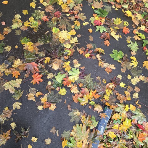 Photo #14121488