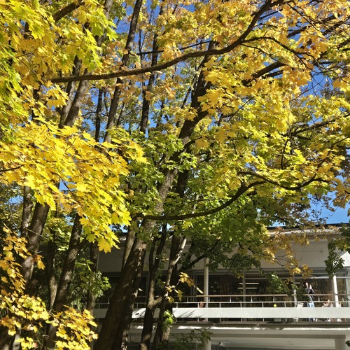 Photo #14121489